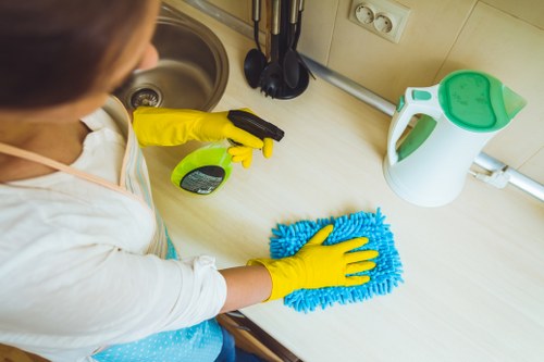 Professional carpet care process with extraction equipment