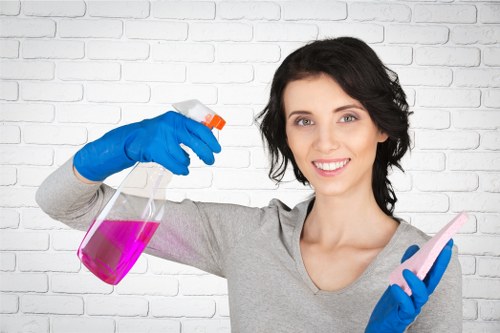 Carpet cleaning equipment used in Snaresbrook