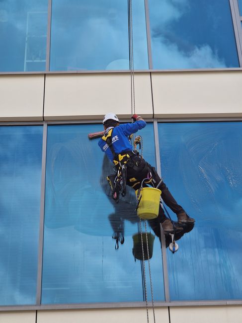Two professional window cleaners from Snaresbrook Carpet Cleaners are performing surface cleaning on the exterior glass windows of a modern, multi-story building. They are suspended using safety harne